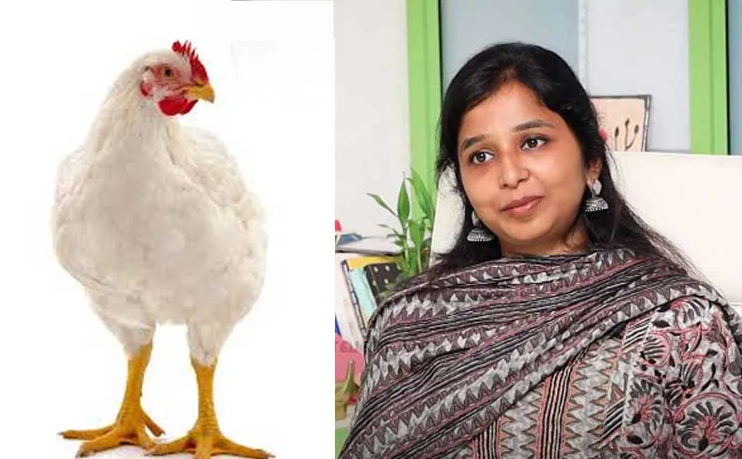 Does eating broiler chicken cause menstrual problems? - explains Siddha doctor Sharmika